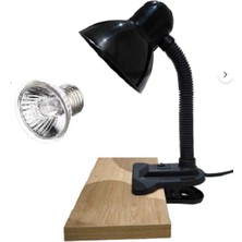 Korhan Teknik Mandallı Akrobat Lamba Tutacağı 25 W Uva/uvb Lamba Dahil