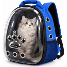 Şeffaf Astronot Kedi ve Küçük Irk Köpek Taşıma Sırt Çantası