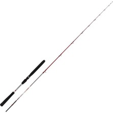 Kali Kunnan Reggia Jig Olta Kamışı 180CM 30-120GR