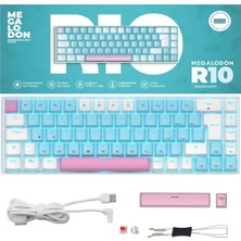 Neva Home R10 Mekanik Oyuncu Klavyesi Full Anti-Ghosting Hot Swap Red Switch Buz Mavisi Işıklandırma (Türkçeq)
