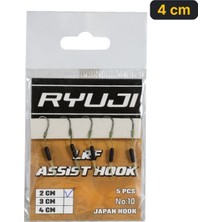 Ryuji Lrf Hırsız Assist Hook Iğne No:10