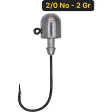 Fishcoin Bullet Jighead Iğne