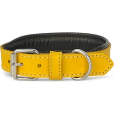 Neva Home Rainbow S Hakiki Deri Orta & Küçük Köpek Tasması – S Beden, Orta ve Küçük Köpekler Için Tasma, Yumuşak Iç Deri, Krom Kaplamalı Toka & D-Halka, 10 Farklı Renk Seçenekleri (Sarı)