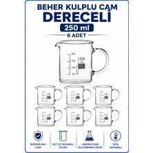 Labolist Beher Kulplu Cam 250 ml - Kısa Form Isıya Dayanıklı Beaker 6 Adet