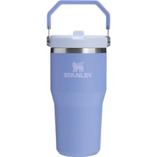 Neva Home The Ice Flow Flp Straw Termos, 0.60 L, Eflatun
