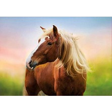 Mythriva Güneş Doğarken Asil At Puzzle - 500 Parça Eğlenceli Oyun
