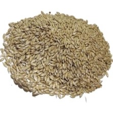 Mythriva Elenmiş Kanarya Yemi 1 Kg, Temiz ve Besleyici