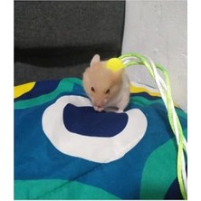 Mythriva Patentli Hamster Gezdirme Tasması - Dolaştırma Için