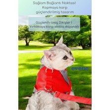 Mythriva Siyah 20-30 cm Ayarlanabilir Köpek Tasması, 10 mm Kalınlık