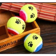 Mythriva At Getir Köpek Eğitim Topu