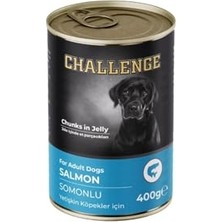 Mythriva Karışık Kedi Çorbası, 50 gr x 10 Adet Lezzetli Seçenek