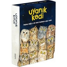 Mythriva Uyanık Kedi – Eşleştirme Kart Oyunu | Baykuşları Eşleştir, Kediden Kurtul, Oyunu Kazan | 2-6 Oyuncu 6+ Yaş | Dikkat Odaklı Eğlence