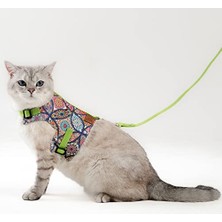 Mythriva Kaçış Önleyici Kedi Gezdirme Tasması ve Küçük Irk Köpek Gezdirme Tasması (Xs, Sarı Kalpli)