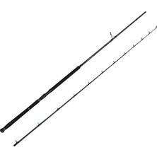 Savage Gear Defiance Sg2 Shore Jig 3.05M 30-100GR 2 Parça Olta Kamışı