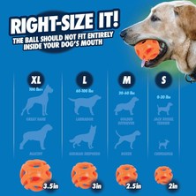 Mythriva Chuckit! Air Fetch Ball Köpek Oyun Topu (Orta Boy)