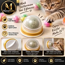 Maren Trade Doğal Kedi Nanesi Oyuncağı – Yapışkanlı Kedi Eğlence Topu (Duvara Monte)