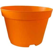 Mythriva Katı Plastik Sukulent Saksısı 20 Adet Turuncu (8.5 Cm), MKR012032483