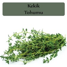 Mythriva Zencefil Organik Kekik Tohumu 1 Paket (500 + Adet)