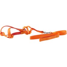 Mythriva Euro Dog Köpek Uzatma Tasması+Göğüs Tasması 25MM 120CM Turuncu