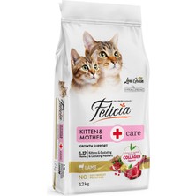 Mythriva Felicia Az Tahıllı 12 kg Yavru Kuzu Etli Hypoallergenic Kedi Maması
