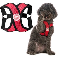 Mythriva Gooby - Comfort x Step-In Köpek Tasması, Boğulmaz, Mikro Süet Süslemeli ve Patentli x Çerçeveli, Kırmızı, Beden Xl