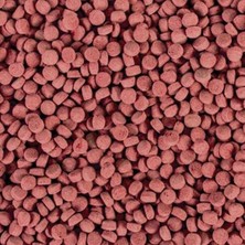 Mythriva Tropical Krill Gran Xxl Kovadan Bölme 100GR