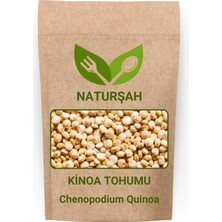 Naturşah Kinoa Tohumu 1 kg / Chenopodium Quinoa