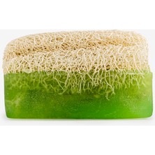 Mythriva Dionesse Kabak Lifli Aloe Vera Sabunu 100% Doğal | Tüm Cilt Tipleri Için Derinlemesine Temizlik ve Peeling