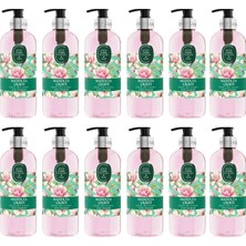 Mythriva Eyüp Sabri Tuncer Doğal Zeytinyağlı Sıvı Sabun Manolya Çiçeği 500 ml x 12 Adet