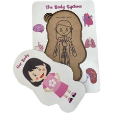 Mythriva Vücudumuz Sistemleri Kız Eğitici Öğretici Geliştirici Boyanabilir Ahşap-Moon Beavers