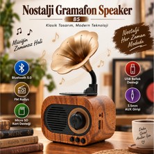 Winex Wireless Nostalji Gramafon Speaker Fm Radyo+Sd Kart+Usba+3.5mm Aux Girişli