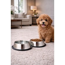 Neva Home Paslanmaz Çelik Kedi Mama ve Su Kabı, Köpek Çelik Mama Kabı, Kaymaz Lastikli Taban, Dayanıklı Besleme Tası, Kolay Temizlenebilir, 10 OZ/300 ml (2 Adet) (2 Adet 18 Cm)