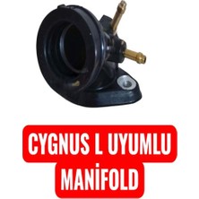 Cygnus L Uyumlu Manifold Erpilsan Elektronik