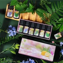 Pileli Store 6'lı Ekonomi Karışık Set Esansiyel Uçucu Yağı Buhardanlık Difüzör Esansı Oda Kokusu