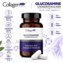 Collagen Forte Platinum Glucosamine Chondroitin Msm Collagen Tip 1,2,3 - 90 Tablet