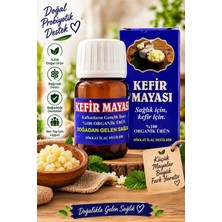 Kafkas Kefir Mayası 20 cc