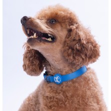 Pawstar Mavi Köpek Boyun Tasması Ayarlanabilir Köpek Tasması