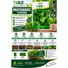 Naz Tohum Maydanoz Tohumu D’giant Italiana 10 gr – Ev Bahçe Balkon Ekimi – 1 / 3 Paket Seçeneği