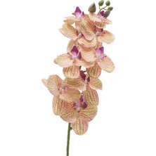 Doqu Home Destina Bloom Çiçek Standart