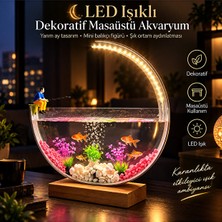 Hiltech LED Işıklı Dekoratif Masaüstü Akvaryum Yarım Ay Tasarım Hava Kabarcıklı Balık