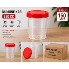 Antpap Ambalaj 250 cc Numune Kabı 150 Adet – Ölçekli Plastik Numune Kabı