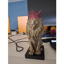 3b Baskı Aslan Biblosu