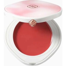 Florasis Dewy Touch Renkli Nemlendirici Dudak Balmı