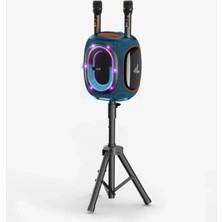 LinkTech M424 Premium Çift Mikrofonlu 300W Ekstra Bas Bluetooth Hoparlör