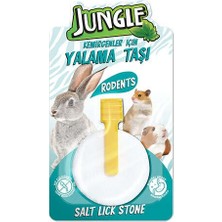 3 Adet Jungle Kemirgenler Için Yalama Taşı