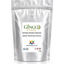Gingo Istiridye Mantarı Ekstresi (Toz) 1 kg
