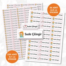 Mühürşah Isimli Mavi Prenses Sticker  - Suya Dayanıklı (256 Adet ) Kalem Suluk Defter Kitap Etiketi Kişiye Özel