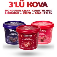 Fruwy Freeze Dried (Çilek, Böğürtlen Ahududu) Kova 3'lü Paket