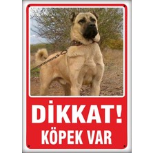 St. Morritz Uyarı ve Yönlendirme Levhaları " Dikkat Köpek VAR"25X35 cm Metal