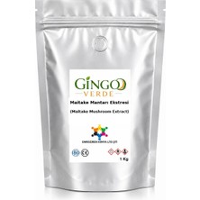 Gingo Maitake Mantarı Ekstresi (Toz) 1 kg